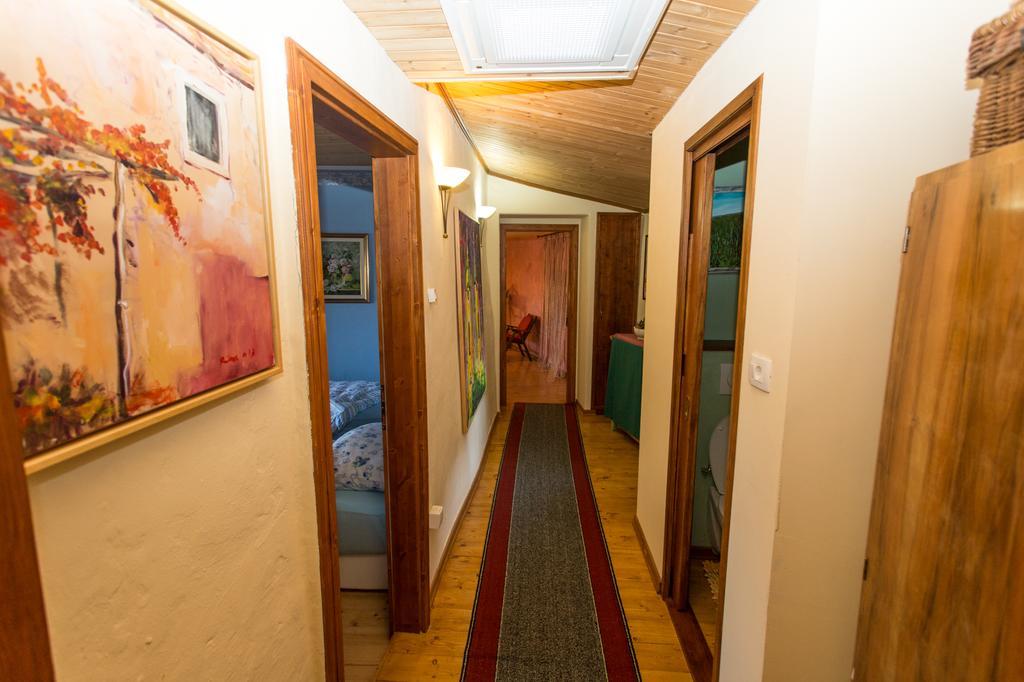 Rozina Vacation House Pliskovica Екстер'єр фото